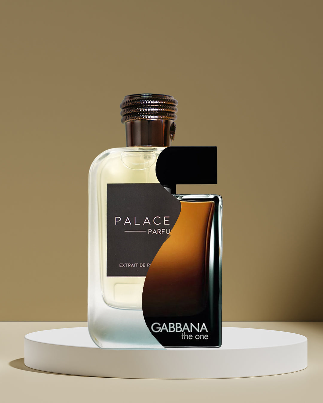 Dolce and gabbana the one